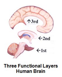 3 layers