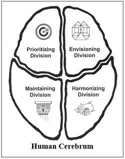 Text Box: Human Cerebrum