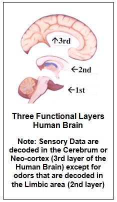 three functional layers